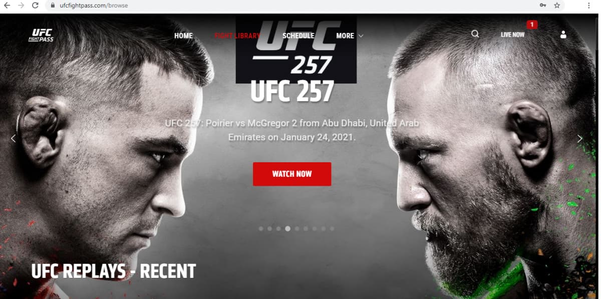 ufc fight pass brasil